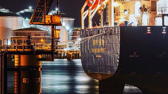 Photographers in the port