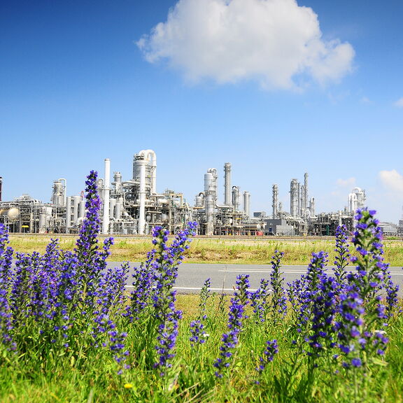 Lavendel und Raffination