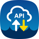 API Icon